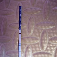 麻烦大家帮我看看是不是怀孕了。