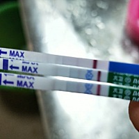 这是怀孕了吗？