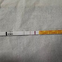 这个应该怀孕了吧。最近早上起来一直舌下37。但是也不敢确定是不是怀了。还有三天大姨妈。早上鼓起勇气...