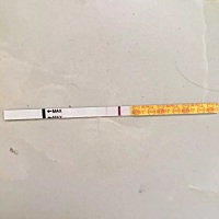 第十一天金秀儿早早孕弱阳，和第十三天官方，我的小金猪妥妥的😘😘😘，但是开始吐了，希望整个孕...