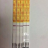 金秀儿加深是不是很慢？测出来刚好今天一个星期，还没去医院验血，想等到强阳在去医院