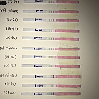 不知道该怎么办了？ 第一次备孕，一号结束月经，7号开始拿试纸测卵泡 每天都测 ，软件可上排卵期是11号...
