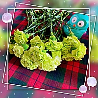 我从此又多了一个节日可过了😄，因为我喜欢绿色，老公就买了绿色的康乃馨，看着像西兰花🥦。