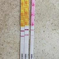 金秀儿早上晨尿测试的，秀儿今晚测试的，约了明天的号。不早了吧？基本可以确定了吗？激动了一天，千万...