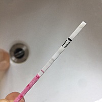 4月12号月经，周期比较长，要32天，29号30号都安排了，自己感觉排卵痛是1号，10号测白板，这是今天测的...