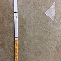 今早上测的，昨天验血了，今天出结果，不知道到底有没有怀孕