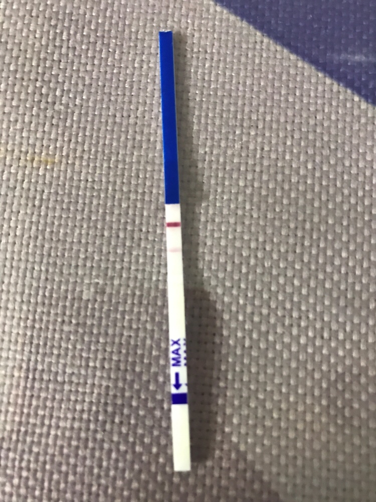 请问这是怀孕了吗？