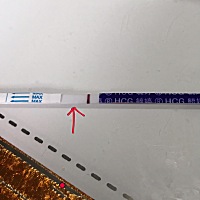 2号排卵，刚刚测早孕，我咋看着有灰印呢，看的眼瞎了