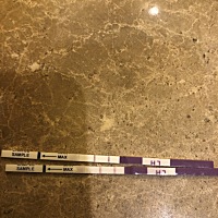 排卵试纸强阳 大概什么时候会排卵