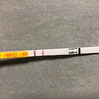 这是怀孕吗？月经推迟三天，刚测的。我需要做什么么？