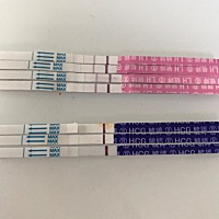 你们能看见有印吗，昨晚测特别浅的印，今天晨尿测还是一样浅，2号排卵，还有三天姨妈日