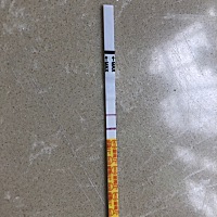 孕期时间怎么算，我老公老着急要去医院抽血确认，但是我不想那么快。听说四十天可以去看是否宫内孕，但...