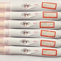 是不是已经排卵了？