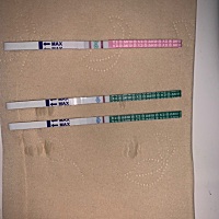 备孕备的，好像早早孕自带两条扛……姨妈推迟了三天，排卵试纸颜色还是很深，还有希望吗