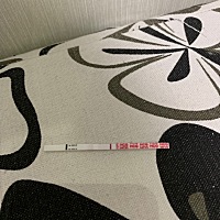 5月6号7号排卵  。现在还有 3天姨妈。早早孕又是白板。什么时候是个头啊😂