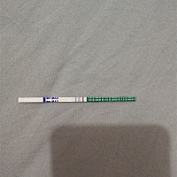 各位大神帮忙看看这是怀了还是没怀呢