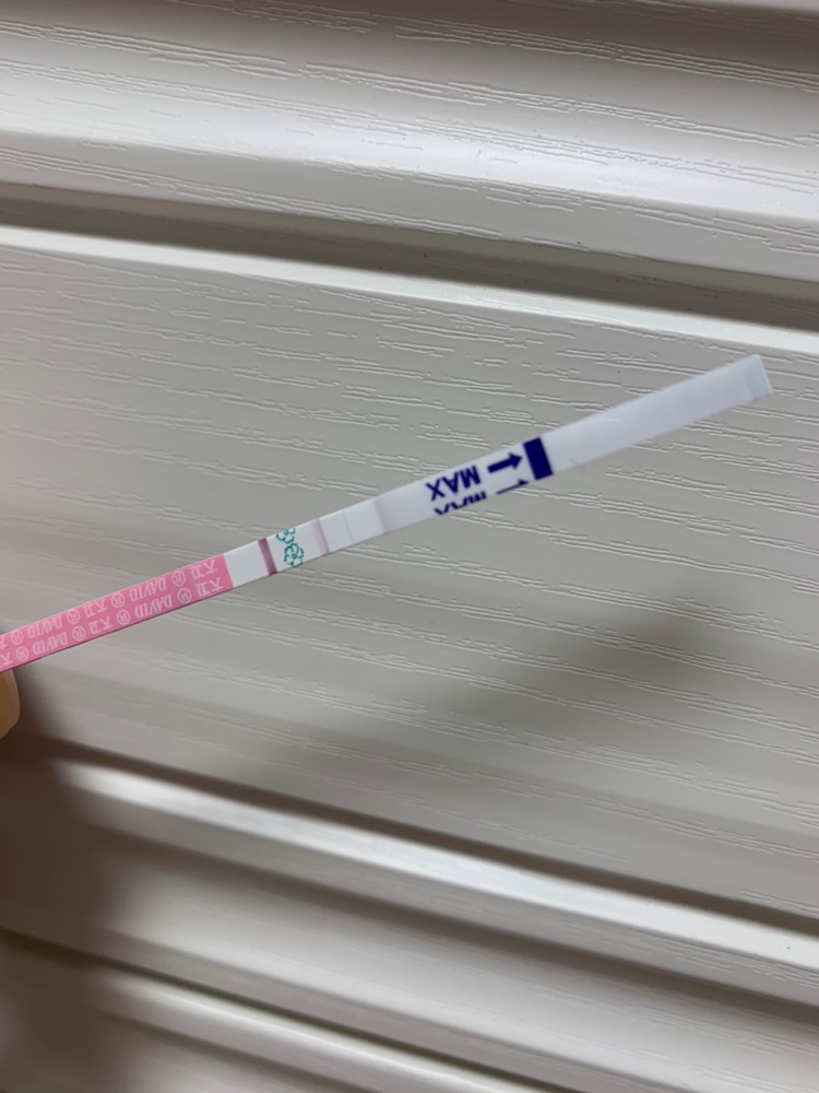居然是这样子😳😳😳

请问，我这个月有戏吗？怀孕几率高吗？
为什么排卵试纸会这样显示呢？到底是什么情况😳