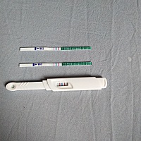 这个是今天早上试的是怀了吗