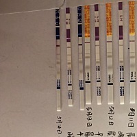 我不敢确定，是不是该去医院查个血啊，还是时间太早了呢。末次月经19号、5月3号排卵