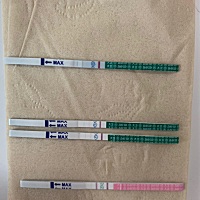 今天早上测的怎么又白板了啊😢，最上面一条是今天早上测的，中间两个是昨晚测得，最后一个是排卵，怎...