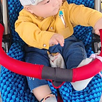 虽然现在累点苦点，但是为了自己生的宝宝一切都值了，每天早上他六点多都醒，我也跟着醒，他睡了，我赶...