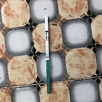 姨妈退迟两天没来，我今天试一下，这显示好像没怀吧？