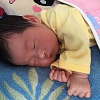 38周生下的佩奇，转眼20多天了，回想起从怀孕到生感觉像做梦一样，有时真不敢相信这个小家伙就是自己的...