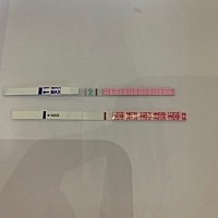 末次4月20，5.6号排卵。还有2天来月经。早早孕白板。但是排卵试纸但是加深了，能怀孕吗还୧😂୨