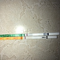 啥情况，用了两条试纸检测，一个有淡淡的印，一个没看见，下午再测又是白板了，是不是炸胡了