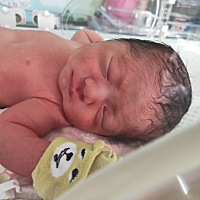 孩子34周➕4羊水破了，到医院想保胎下午宫缩就开始了，骨缝开了，怀孕以来一直都打算是刨腹产的，这个主...