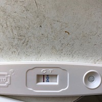 末次24号，这是有了吗