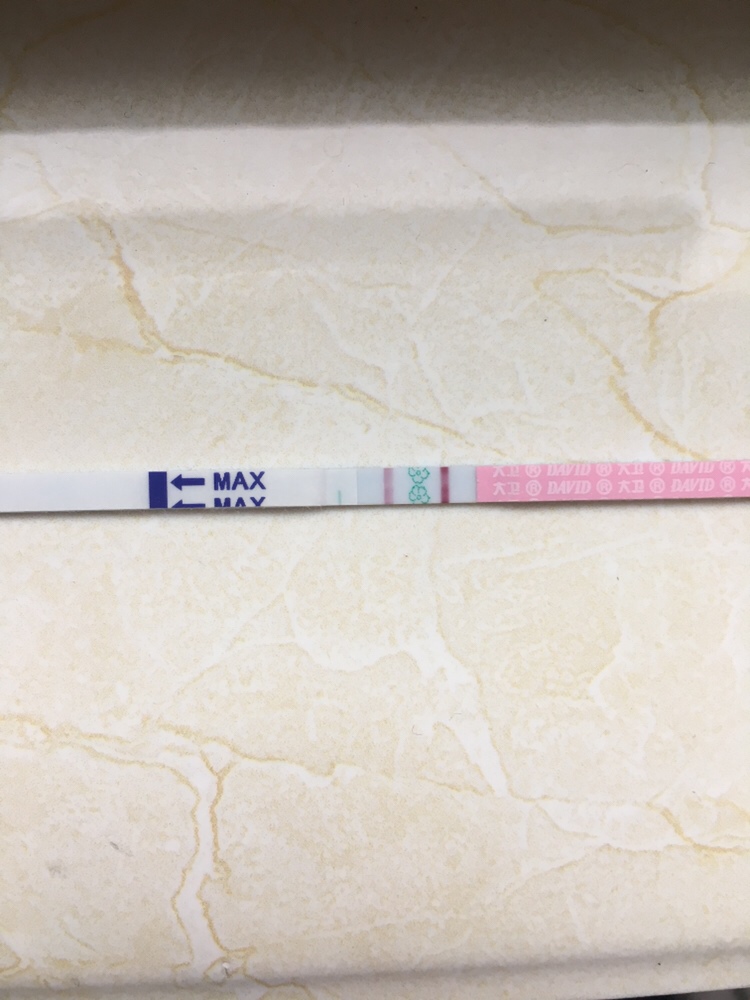 下头是今天下午刚测，晚上做功课，估计还来得及。😄