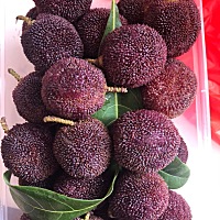 做月子也在偷吃，杨梅看着就流口水没忍住还是吃了……