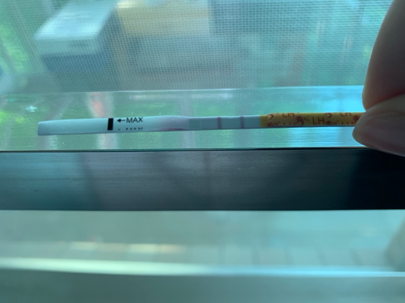 5.11排卵试纸
