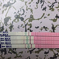 有没有排卵试纸加深 早早孕白板的 17号末次 这样还有机会吗