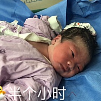 刚生下来确实太丑