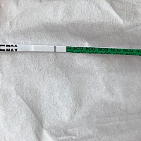 大家帮我看看这是有点还是没有呢