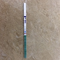 今天颜色是这个程度，两天一变颜色，月经推迟第三天。没来月经的那天流一点点褐色的分泌物，然后第二天...