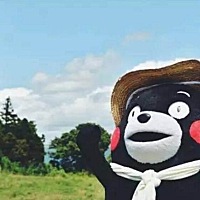 新生儿黄疸不需要晒太阳哦，如果长时间暴露在太阳下，反而会晒伤宝宝的皮肤哦。