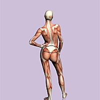 有没有准妈妈们，怀孕后这个位置，疼痛的？