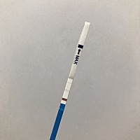 我上个月7号来的月经，这个月七号没来，测的时候没有，可今天早上测了一下有一点点，这到底是怀孕还是没...