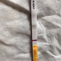 低烧三天了，再没有我就准备吃药了，太难受了，早上测了金秀儿一个白板，隔了好一会再去看看。好像有点...