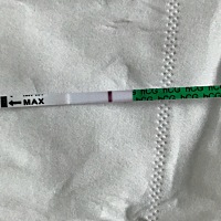 亲们这是有了还是没有呢