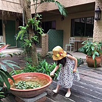 这个帽子简直太好看了吧