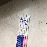 求大神帮忙，我这是在例假第四天开始测的，第五天和第六天就开始排卵了，想问问有没有提前排卵的亲们啊？