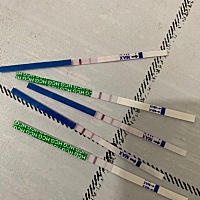 月经前三天测的 ，这是怀了吗