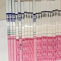 十号排卵。 今天排卵试纸还是红红的。可金秀儿的早早孕却是白板。感觉右下腹涨涨的。瞌睡多。也不知道中...