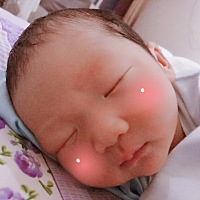 大鹅子有口福了， 母乳吃不了的吃 ， 已经变成了奶牛🐄 ……