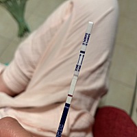 同房4天了，这条红线是几个意思？