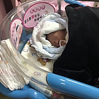 5月10号，中午12点剖腹产诞下男婴 重3250克 预产期是5月5号，一直没动静医生说再没动静12号的时候就需要...